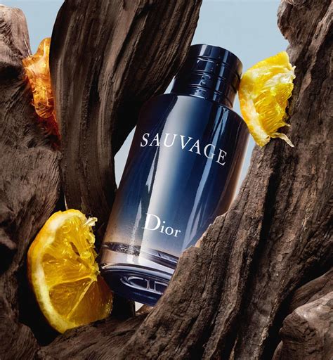 sauvage dior eau toilette|dior sauvage edt fragrantica.